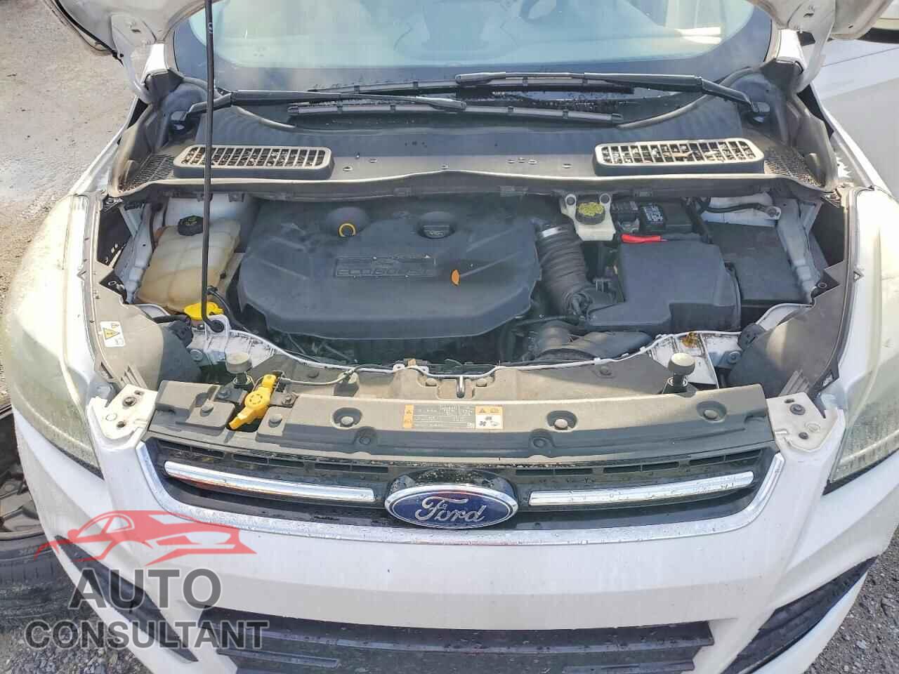 FORD ESCAPE 2014 - 1FMCU0J90EUA74397
