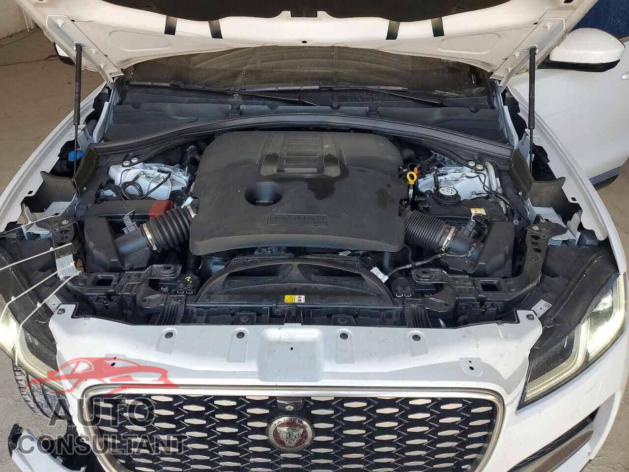 JAGUAR F-PACE 2021 - SADCJ2EU4MA673041