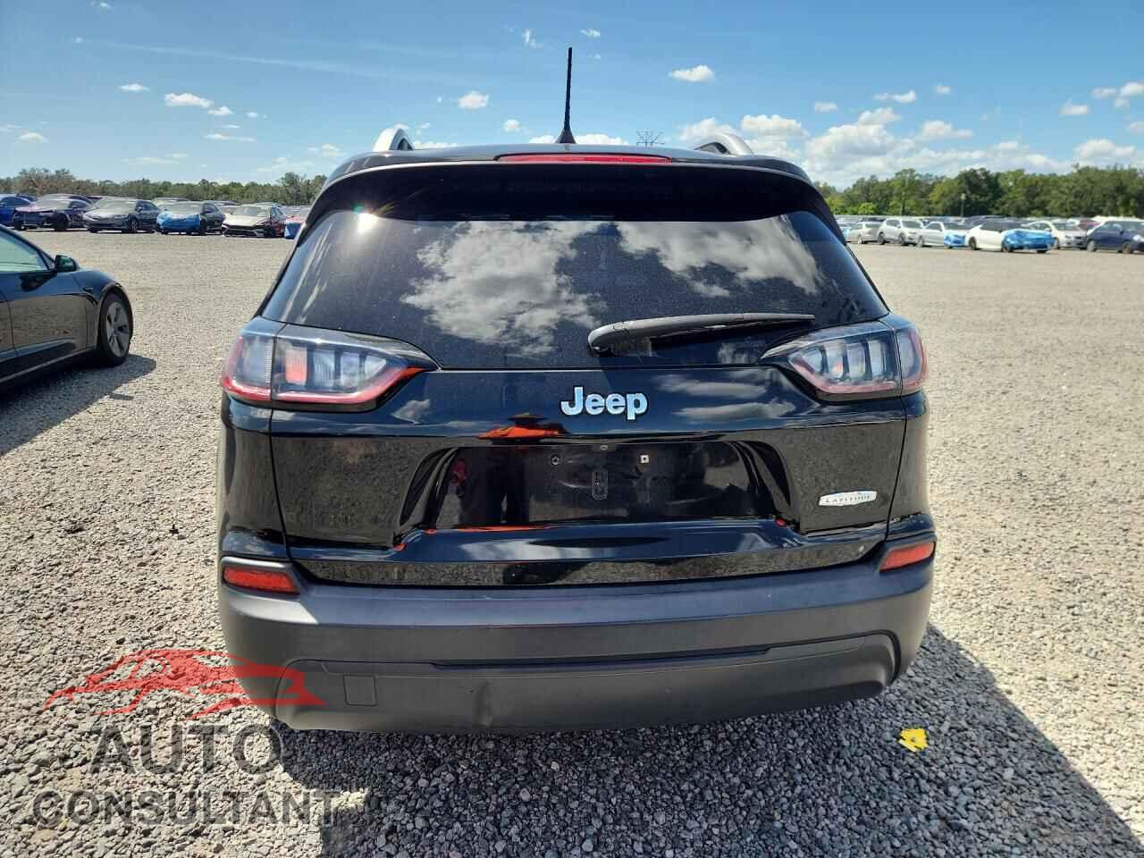 JEEP CHEROKEE 2019 - 1C4PJLCB2KD221069