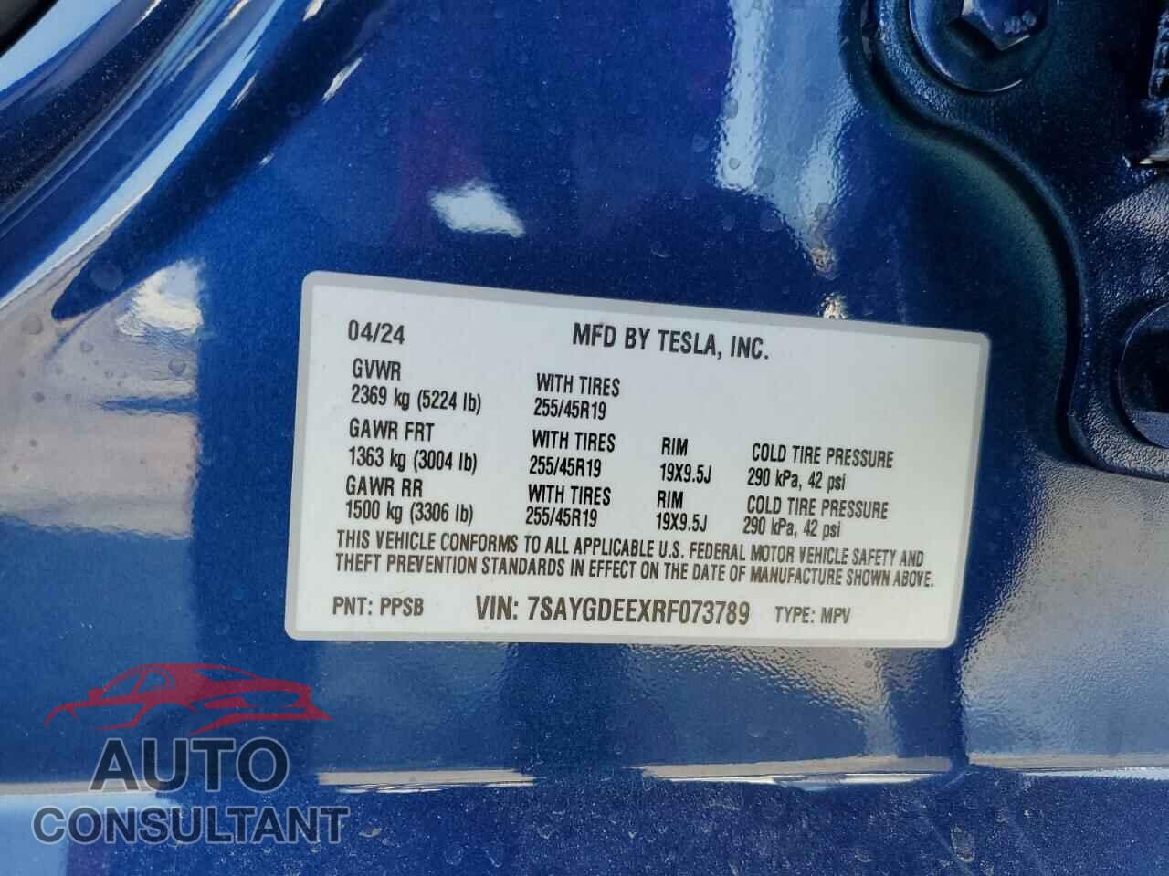 TESLA MODEL Y 2024 - 7SAYGDEEXRF073789