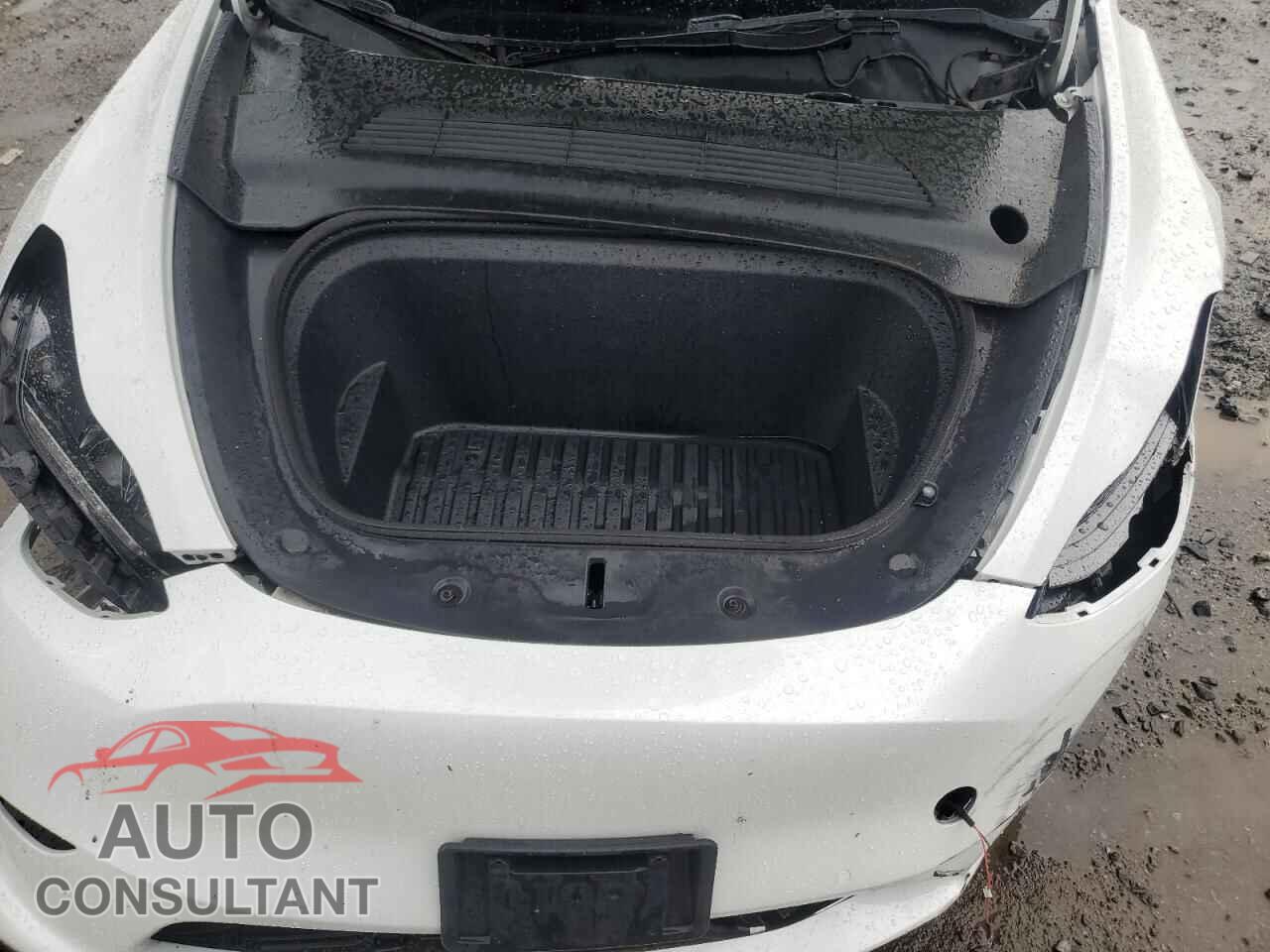 TESLA MODEL Y 2022 - 7SAYGDEE2NF379959