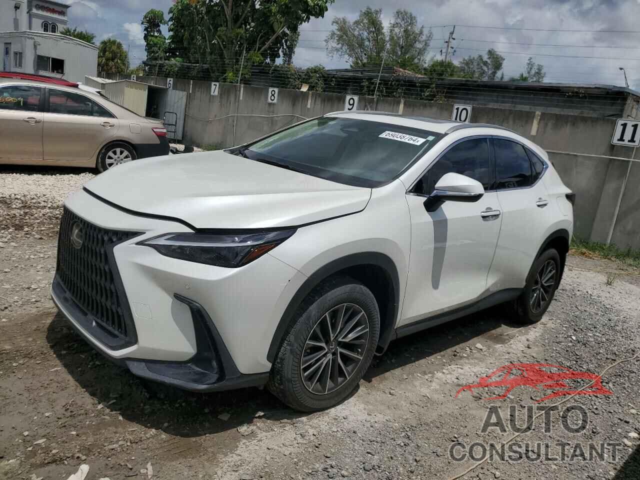 LEXUS NX 350 2022 - JTJGGCEZ7N2000900