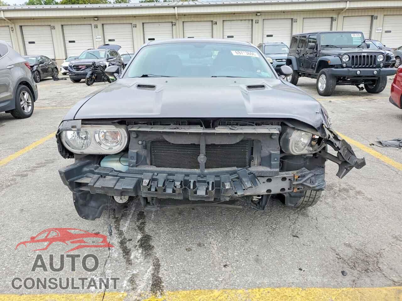 DODGE CHALLENGER 2014 - 2C3CDYAG3EH187110