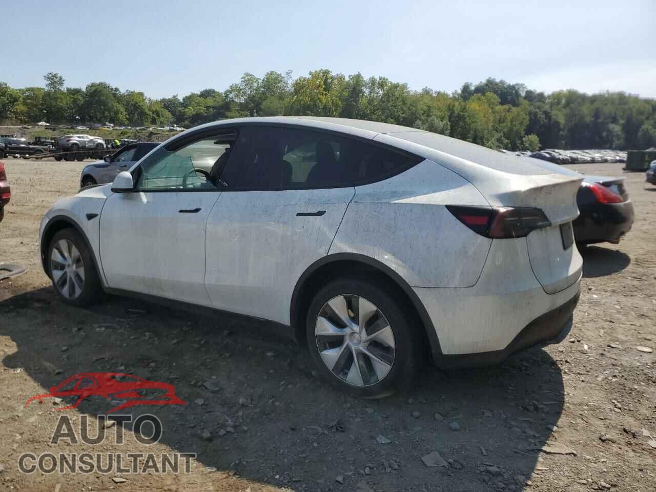 TESLA MODEL Y 2024 - 7SAYGDEE7PF785495