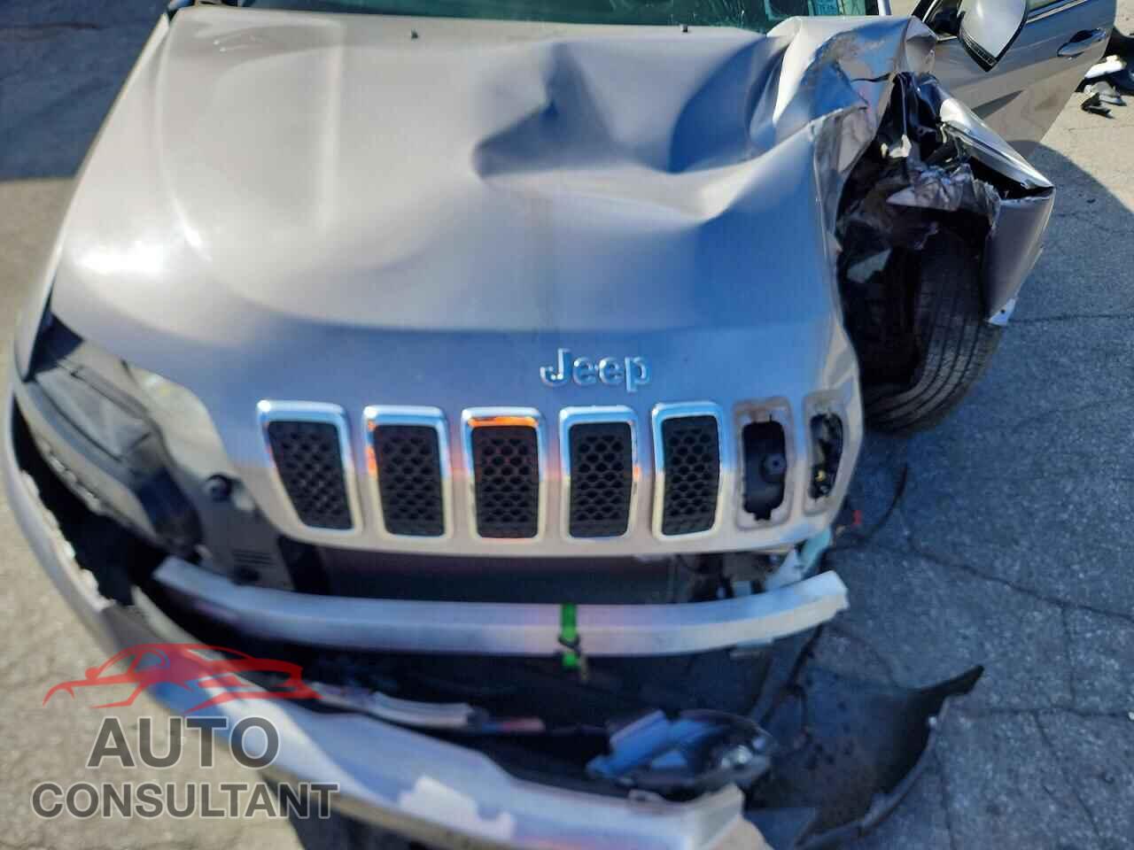 JEEP CHEROKEE 2019 - 1C4PJMDX2KD253407