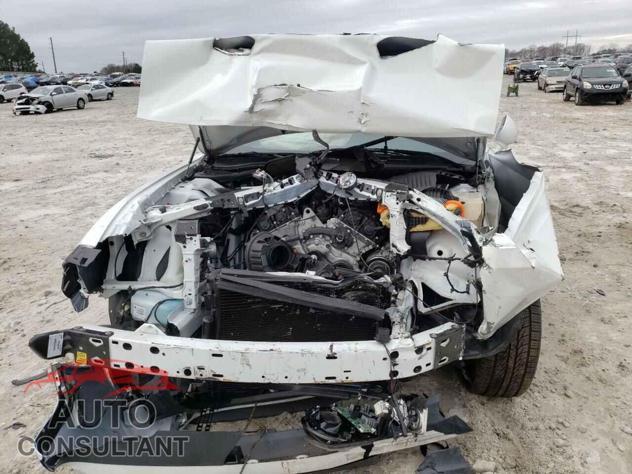 DODGE CHALLENGER 2019 - 2C3CDZAG6KH659737