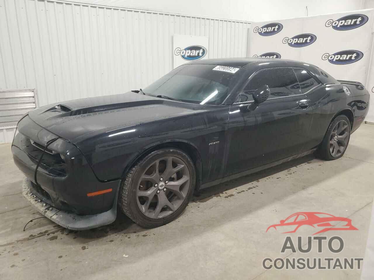 DODGE CHALLENGER 2019 - 2C3CDZBT1KH739832