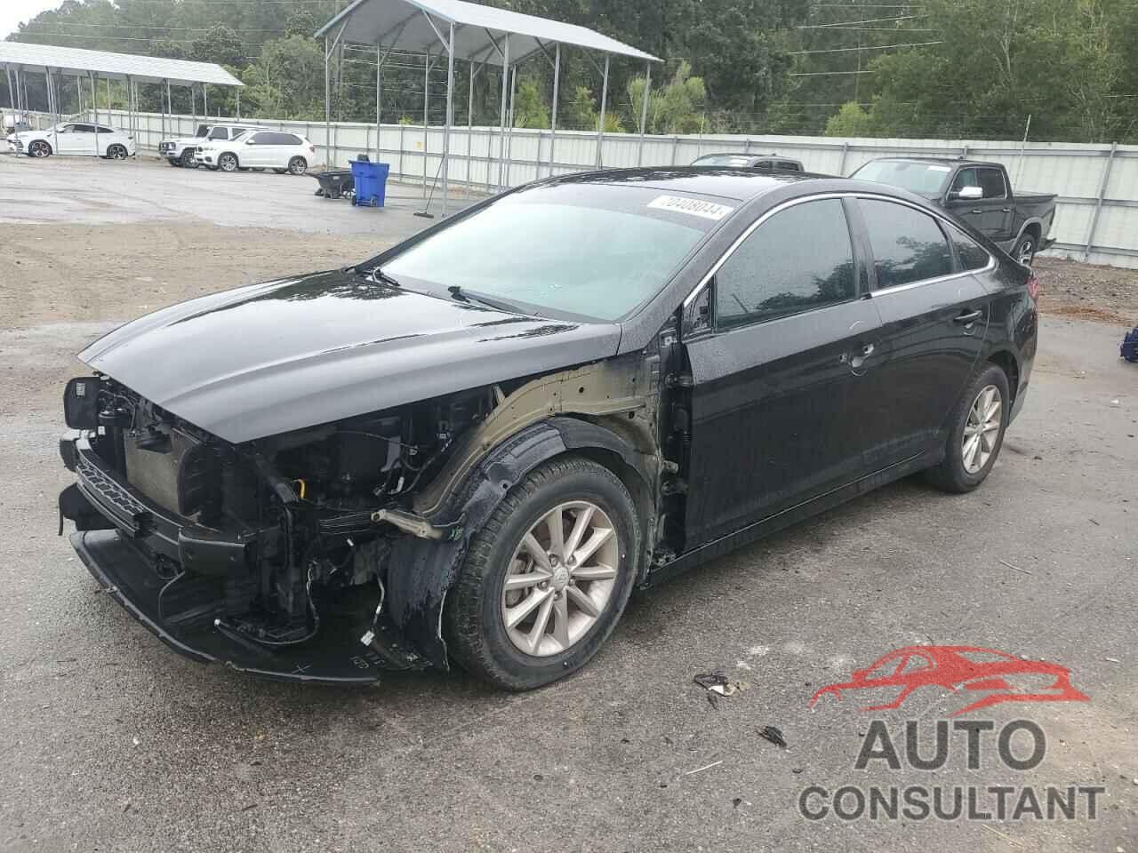 HYUNDAI SONATA 2019 - 5NPE24AF9KH785411