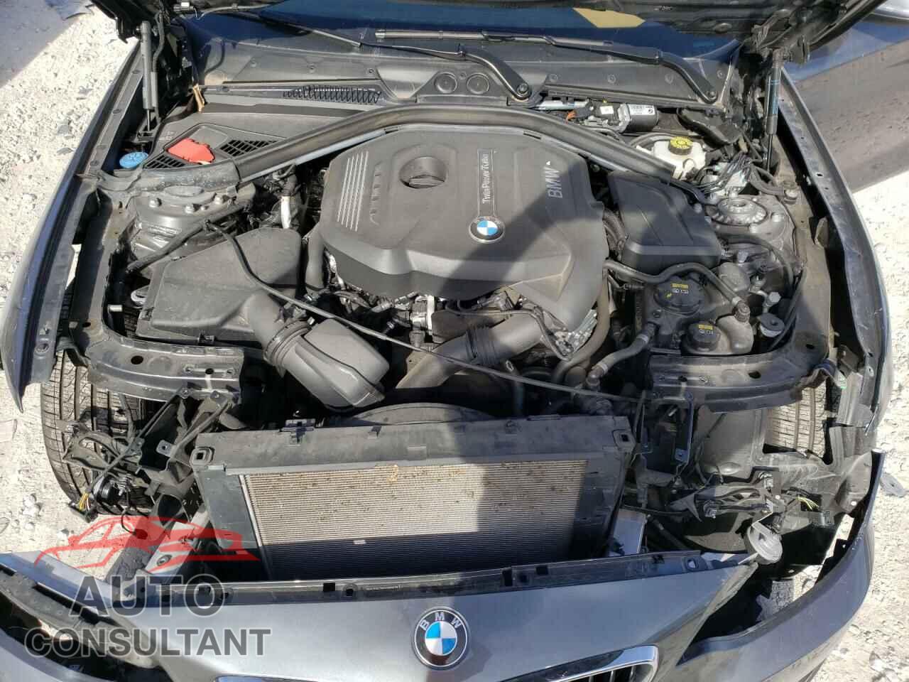 BMW 2 SERIES 2017 - WBA2F9C38HV664978