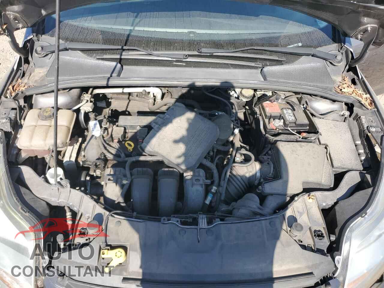 FORD FOCUS 2014 - 1FADP3K28EL172012