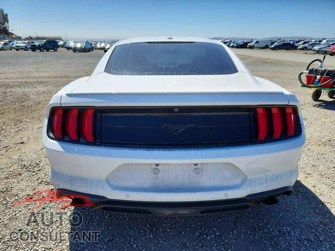 FORD MUSTANG 2019 - 1FA6P8TH4K5172534