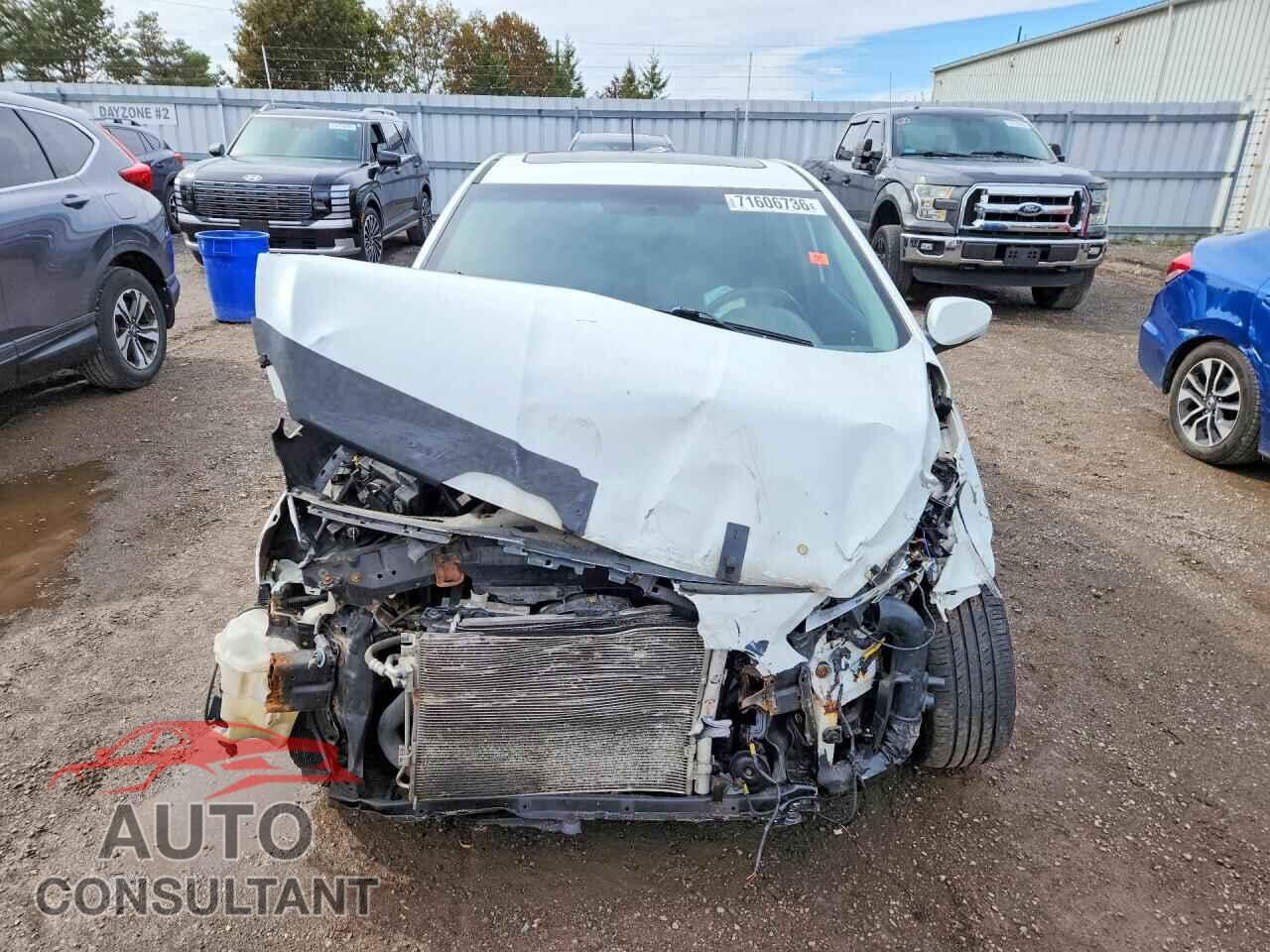 HYUNDAI ACCENT 2014 - KMHCU5AE5EU196571