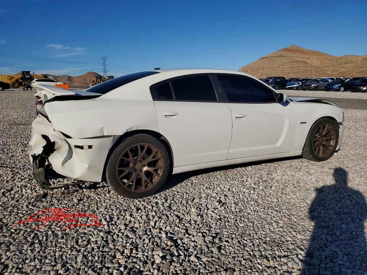 DODGE CHARGER 2014 - 2C3CDXCT0EH309183