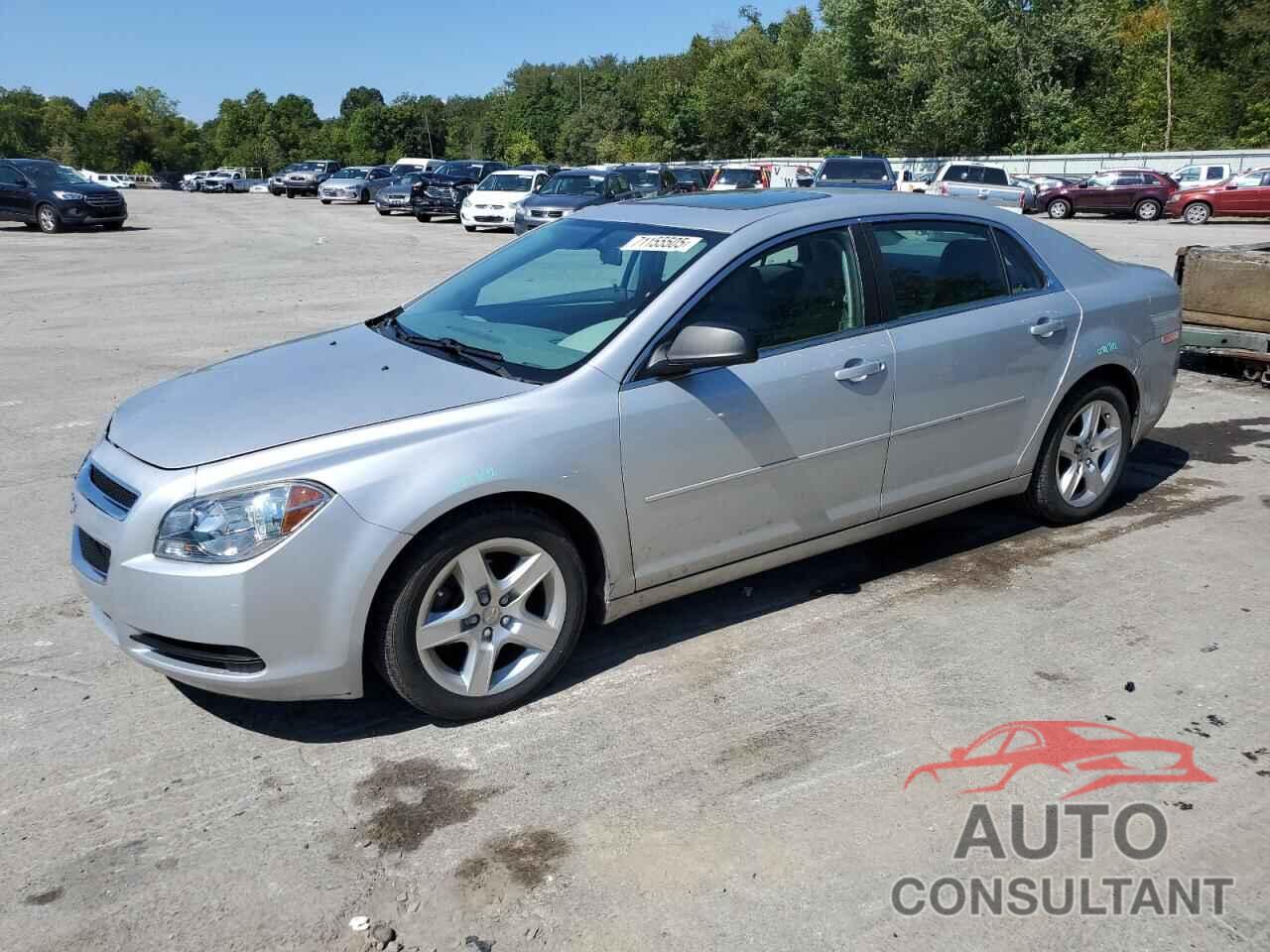 CHEVROLET MALIBU 2011 - 1G1ZA5E16BF351801