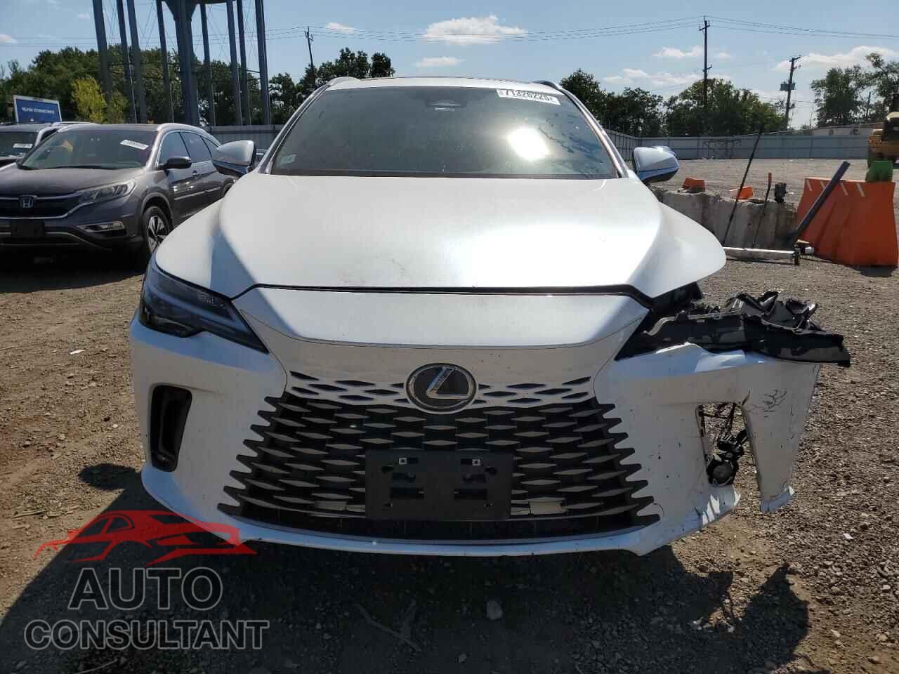 LEXUS RX350 2024 - 2T2BAMCA0RC054401
