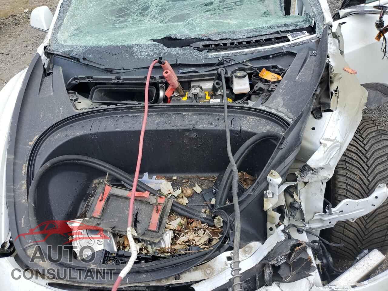 TESLA MODEL 3 2019 - 5YJ3E1EA4KF401416