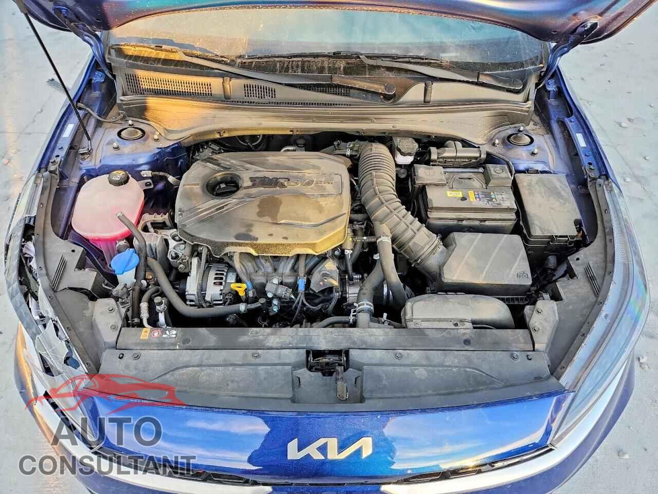 KIA FORTE 2024 - 3KPF44AC3RE787240