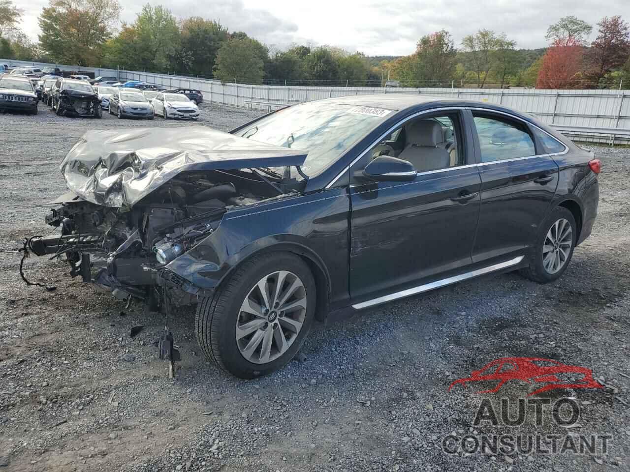 HYUNDAI SONATA 2016 - 5NPE34AF3GH312916