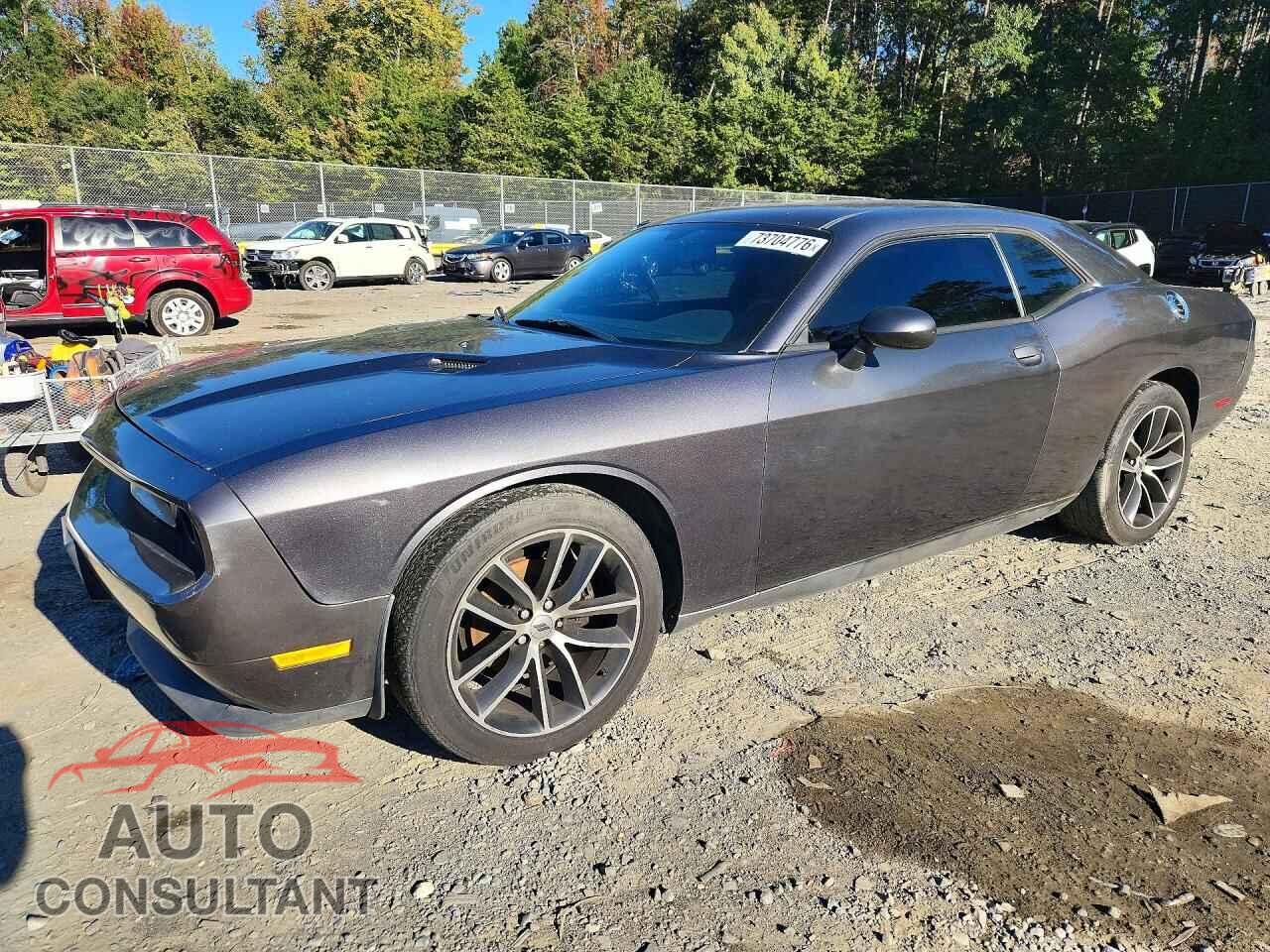 DODGE CHALLENGER 2013 - 2C3CDYAG4DH660169