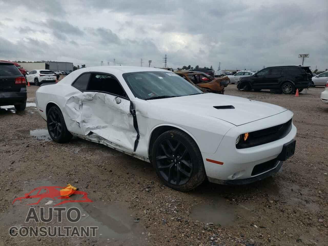 DODGE CHALLENGER 2019 - 2C3CDZAG7KH717046