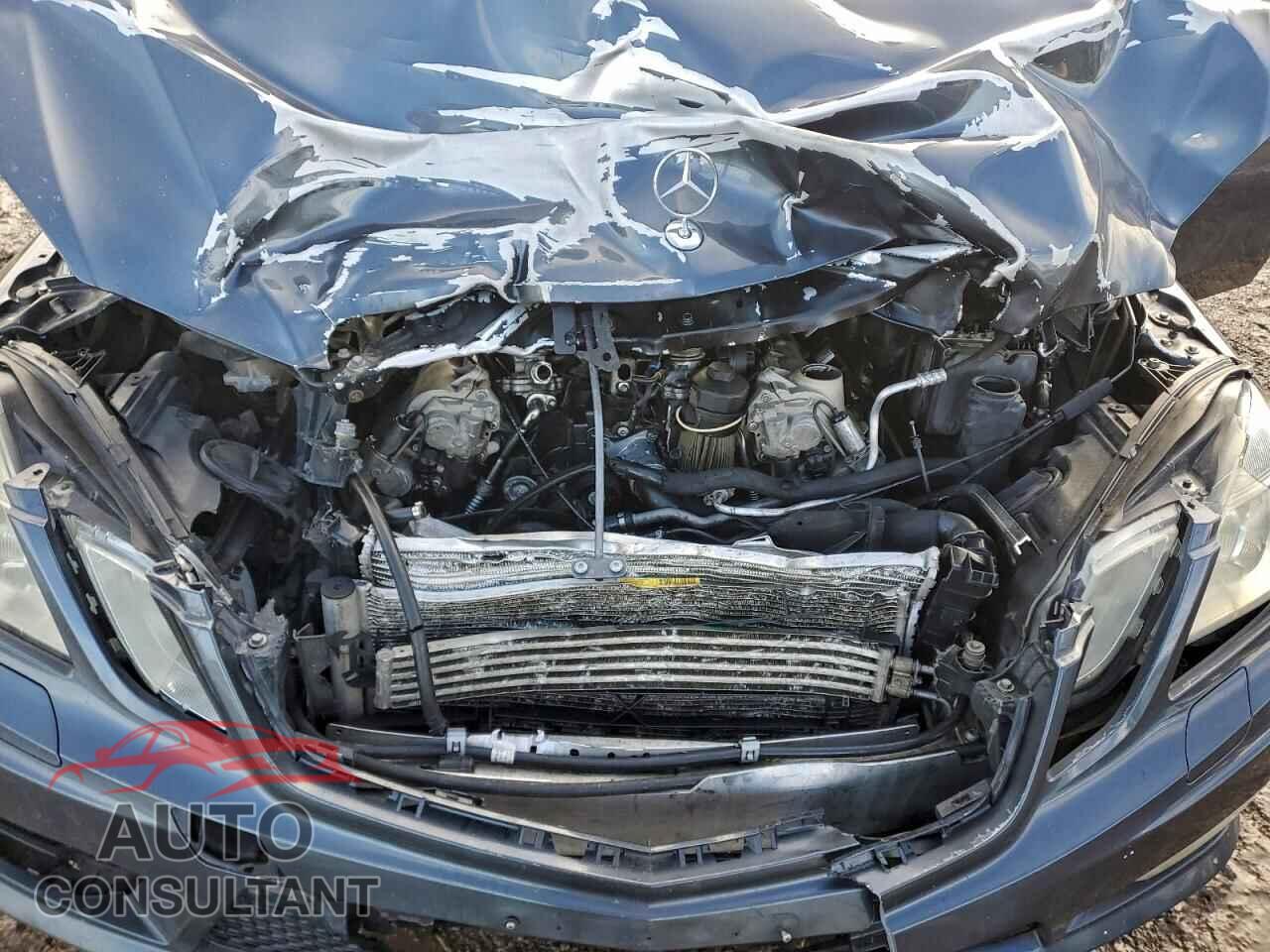 MERCEDES-BENZ E-CLASS 2010 - WDDHF7HB4AA065161