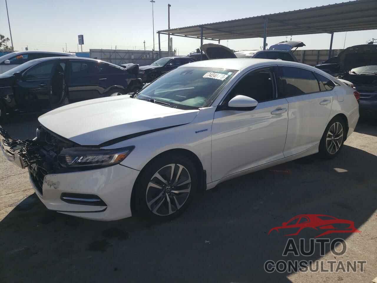 HONDA ACCORD 2019 - 1HGCV3F1XKA000389