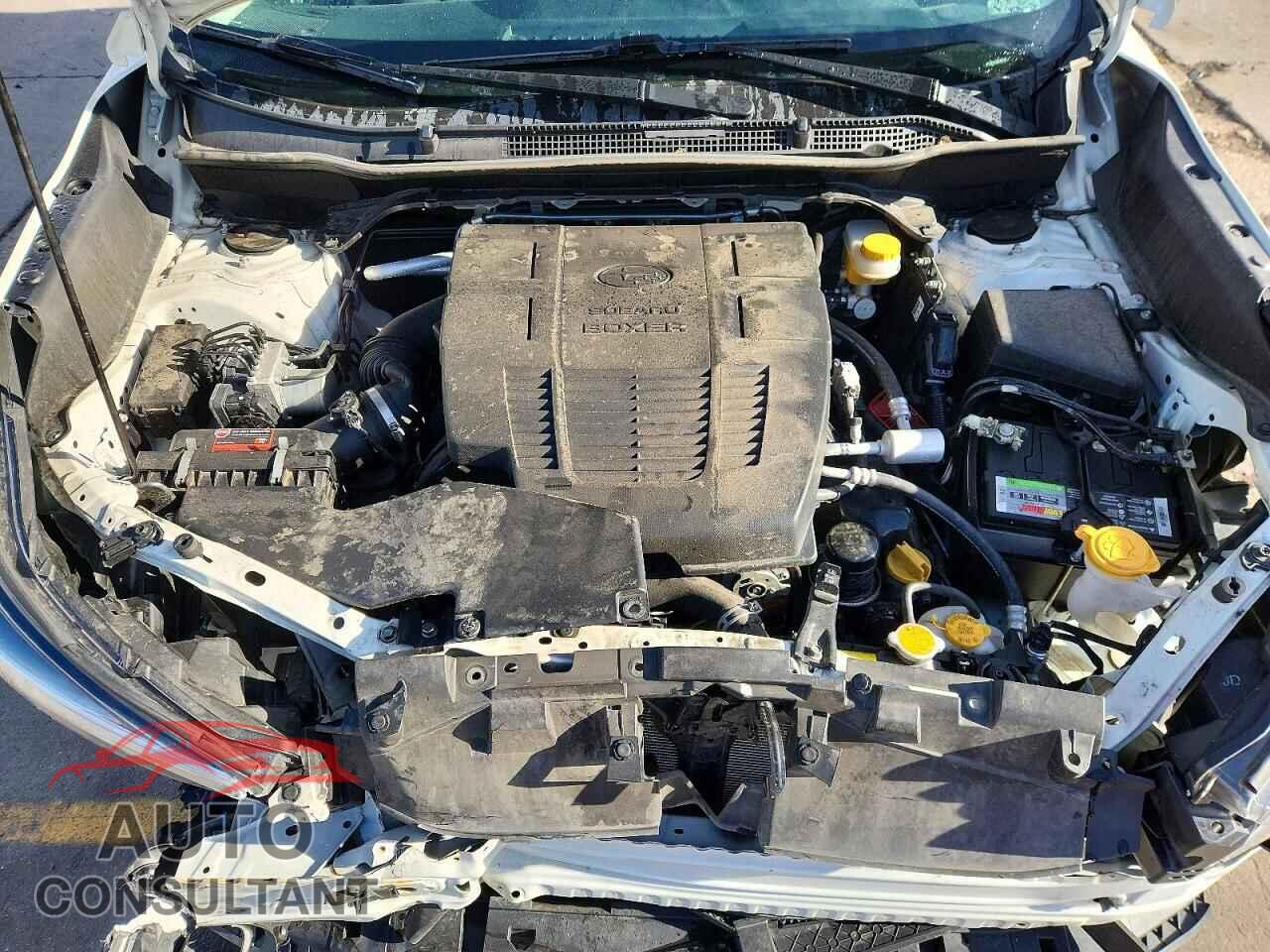 SUBARU FORESTER 2019 - JF2SKAJC2KH411830