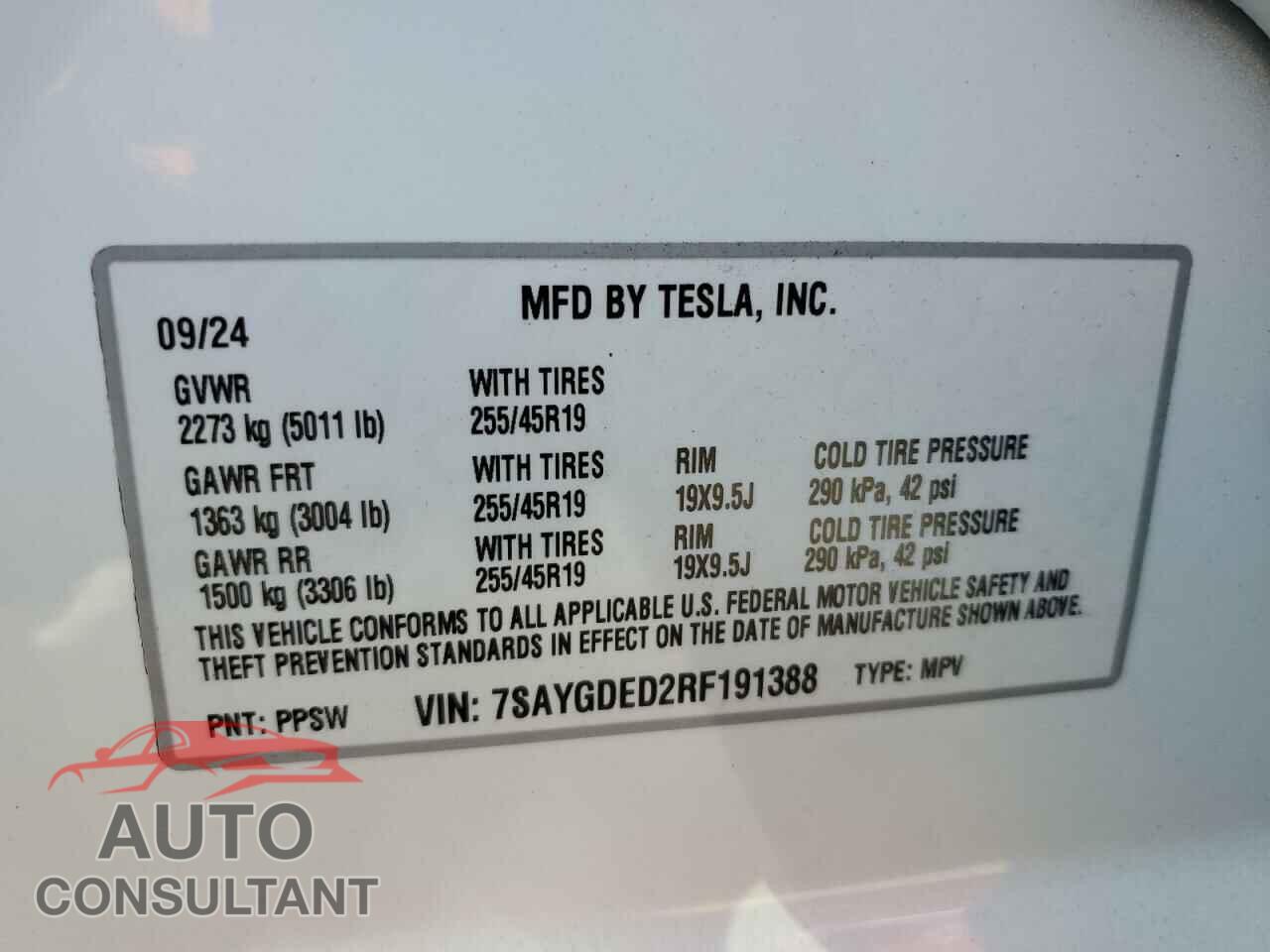 TESLA MODEL Y 2024 - 7SAYGDED2RF191388
