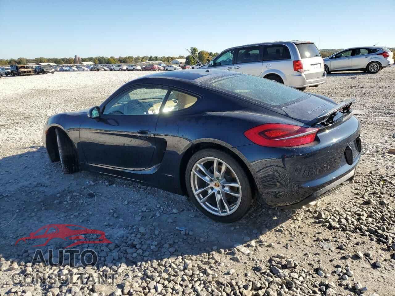 PORSCHE CAYMAN 2014 - WP0AA2A8XEK173067