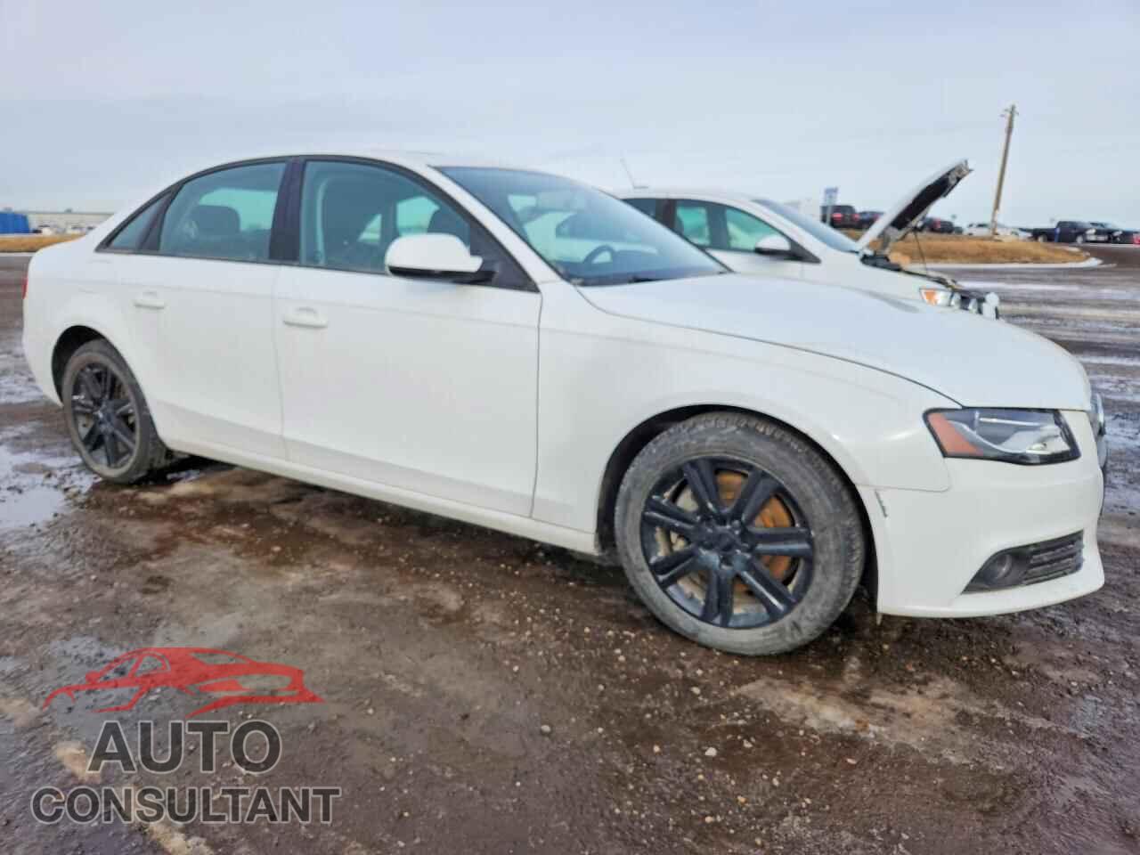 AUDI A4 2010 - WAUAFCFL9AN058244