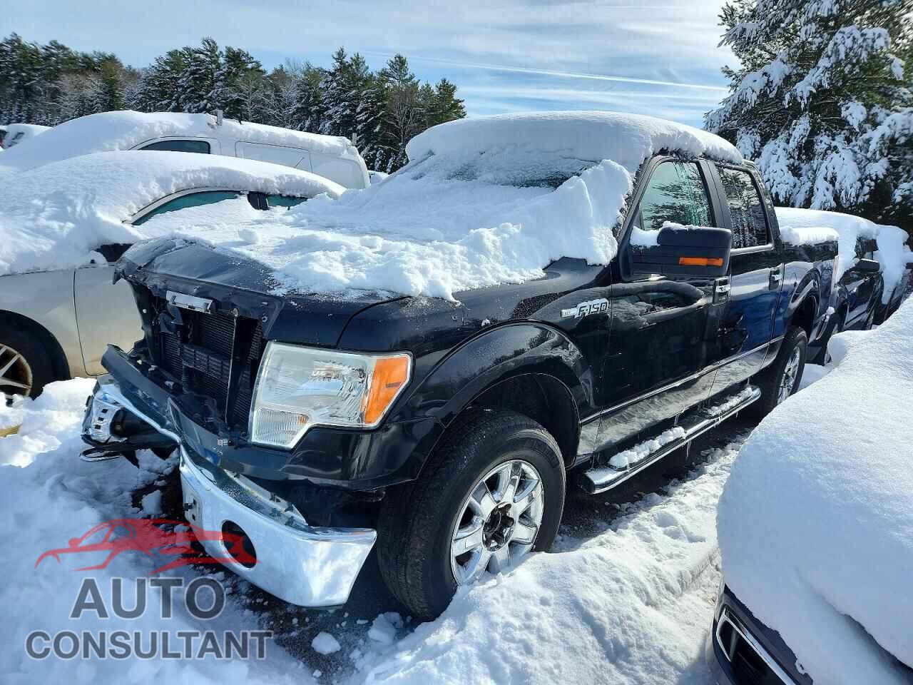 FORD F-150 2013 - 1FTFW1EF8DFD15899