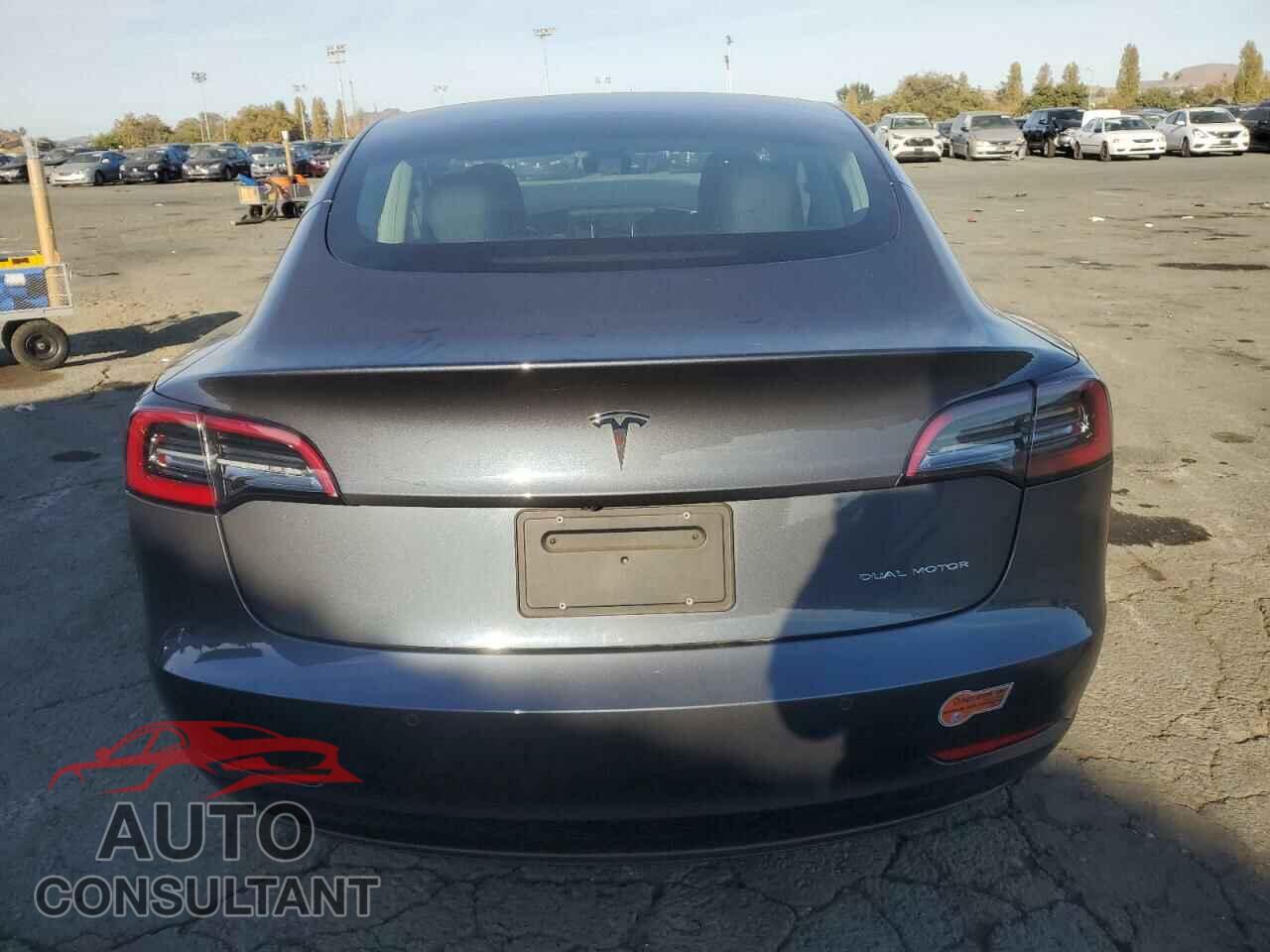 TESLA MODEL 3 2020 - 5YJ3E1EB7LF635544