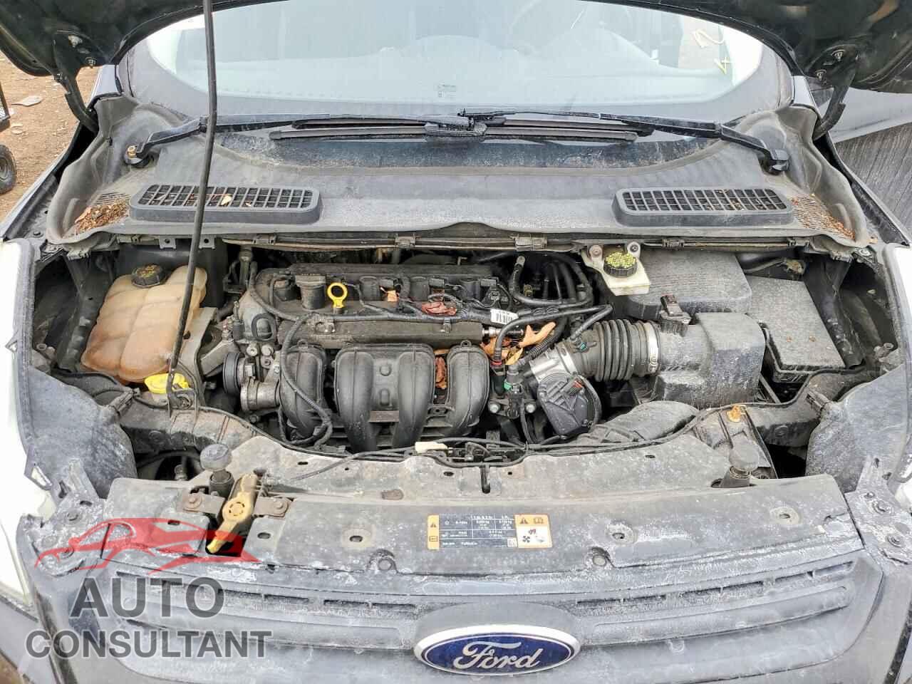 FORD ESCAPE 2014 - 1FMCU0F76EUC28392