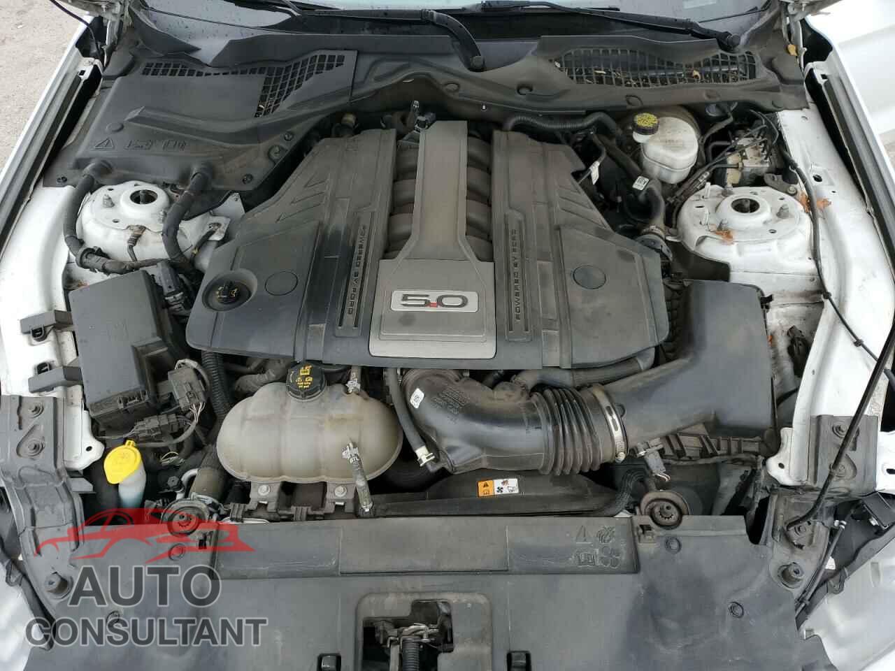 FORD MUSTANG 2018 - 1FA6P8CF8J5116500