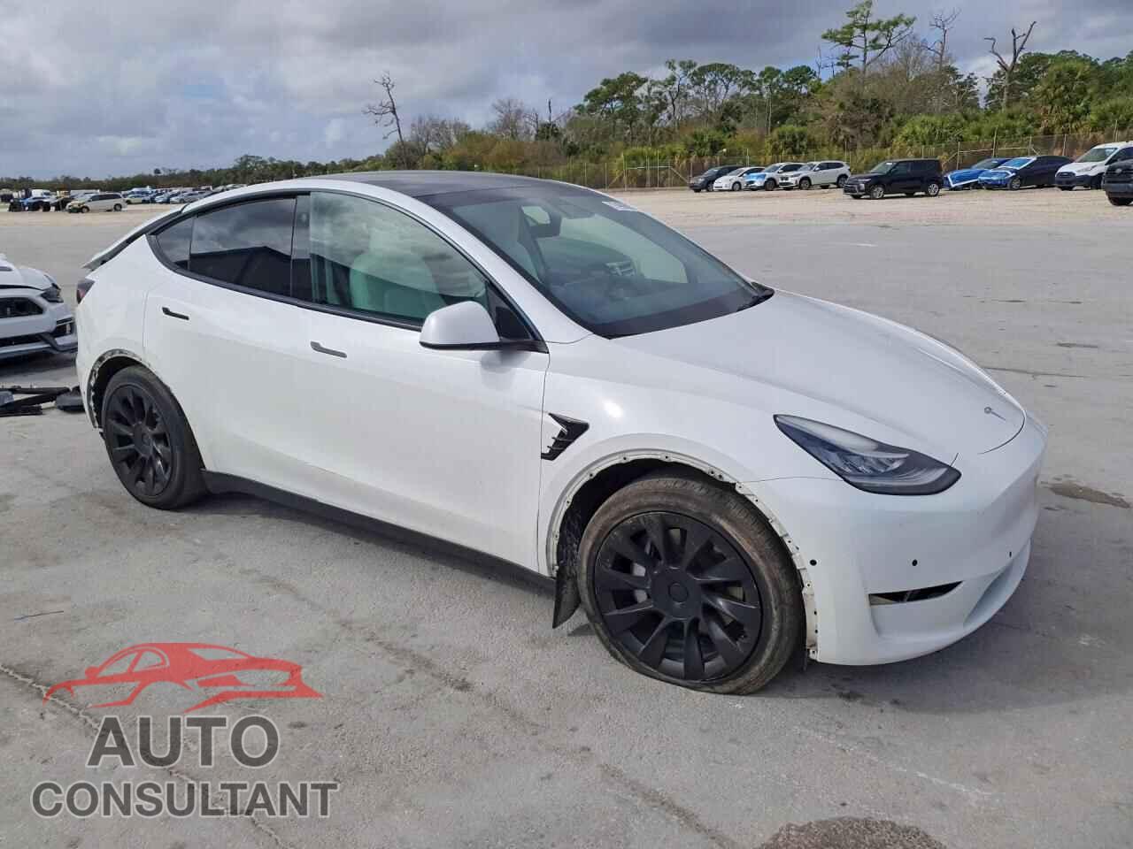 TESLA MODEL Y 2021 - 5YJYGDEEXMF266501