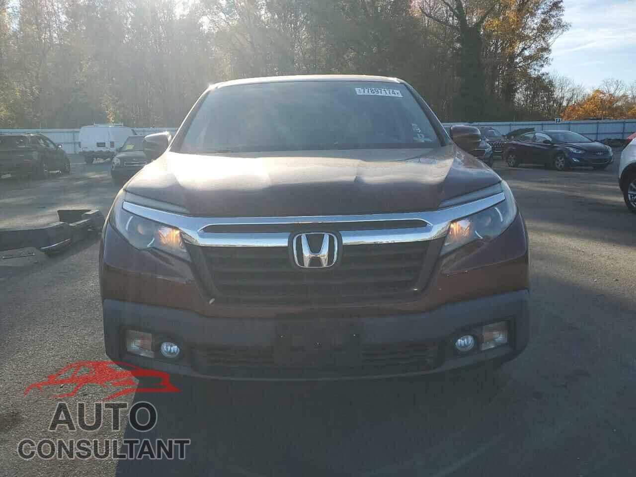 HONDA RIDGELINE 2019 - 5FPYK3F52KB008467