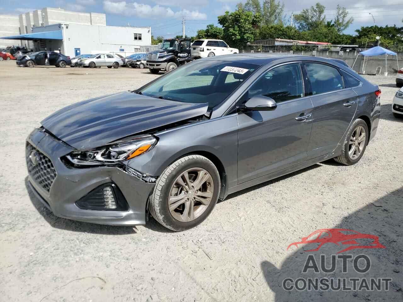 HYUNDAI SONATA 2019 - 5NPE34AF2KH731459