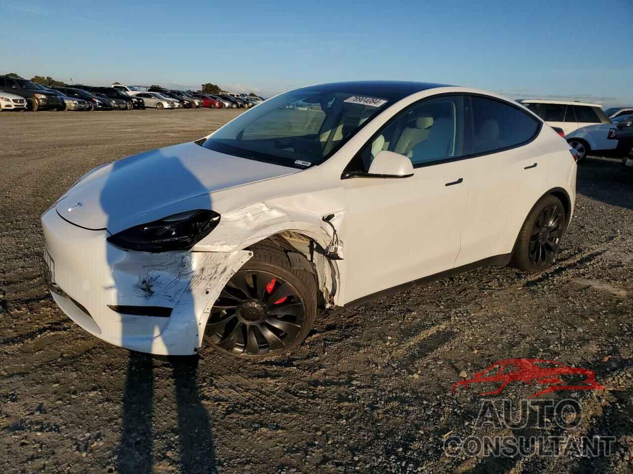 TESLA MODEL Y 2022 - 7SAYGDEF9NF491098