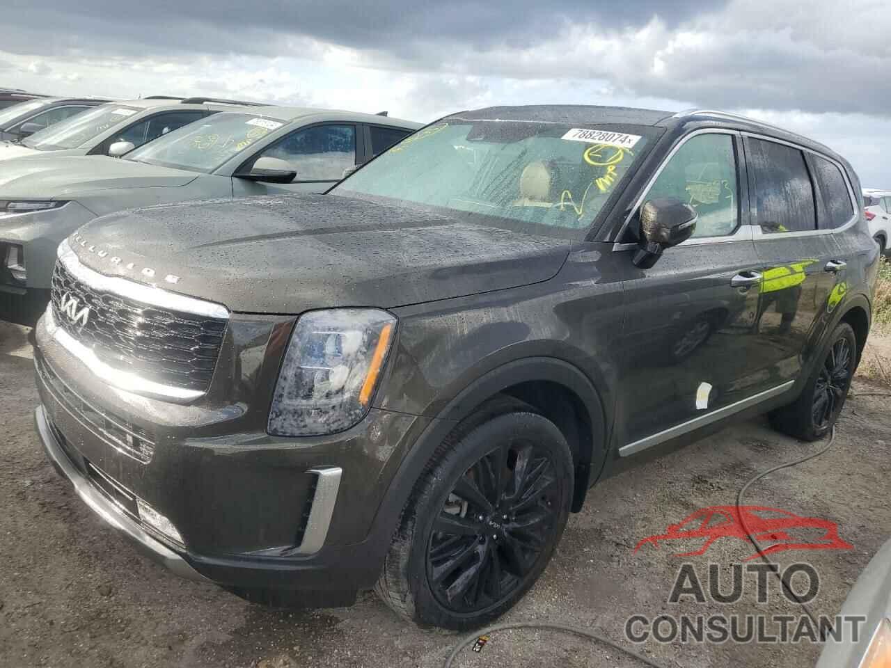 KIA TELLURIDE 2022 - 5XYP54HC7NG227192