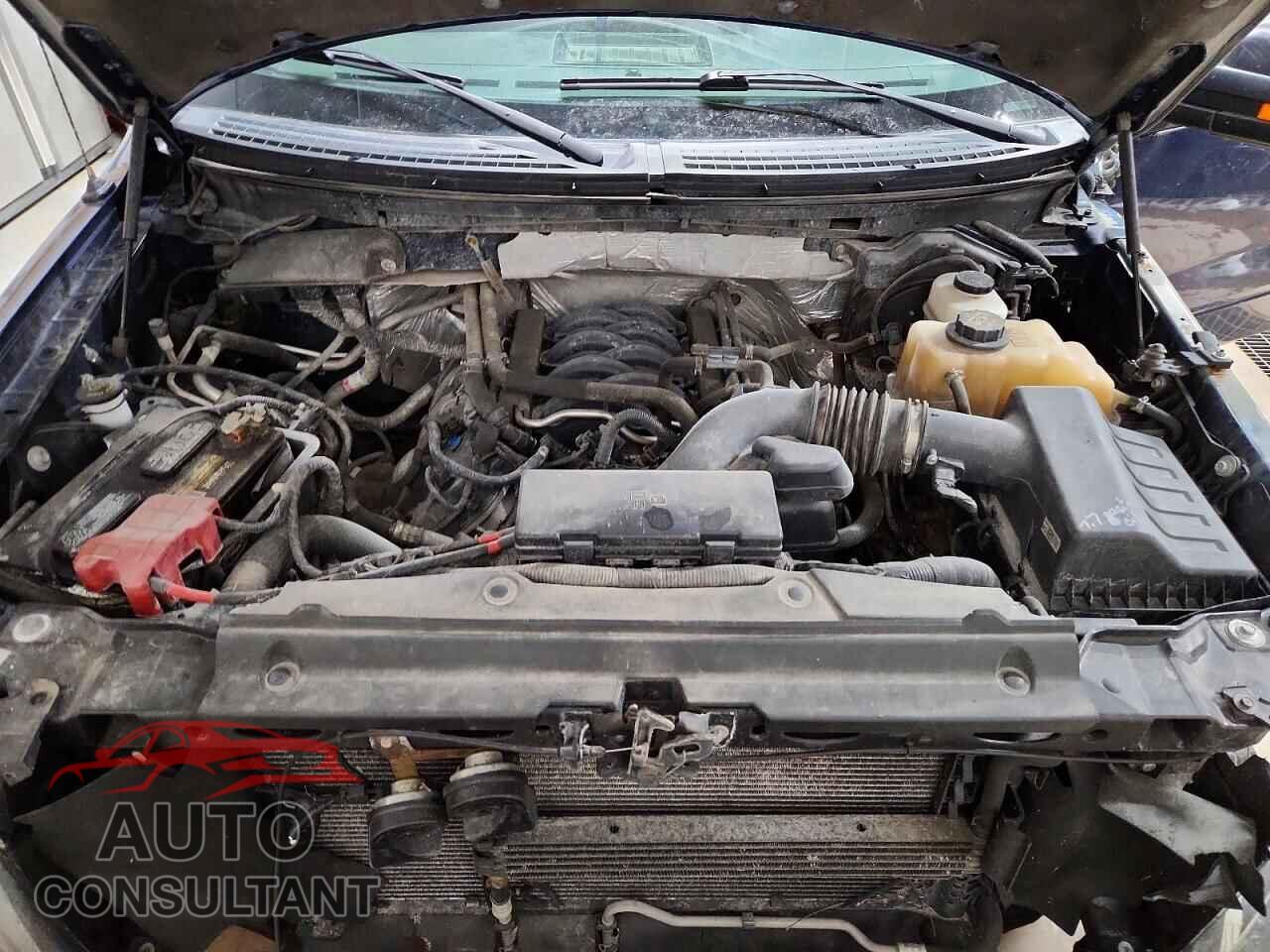FORD F150 2012 - 1FTFX1EF2CFC19102