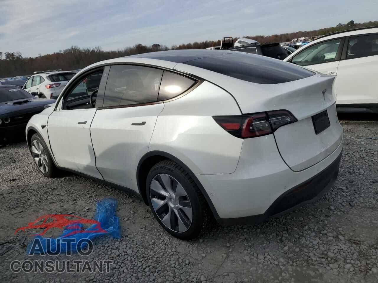 TESLA MODEL Y 2020 - 5YJYGDEE7LF032105