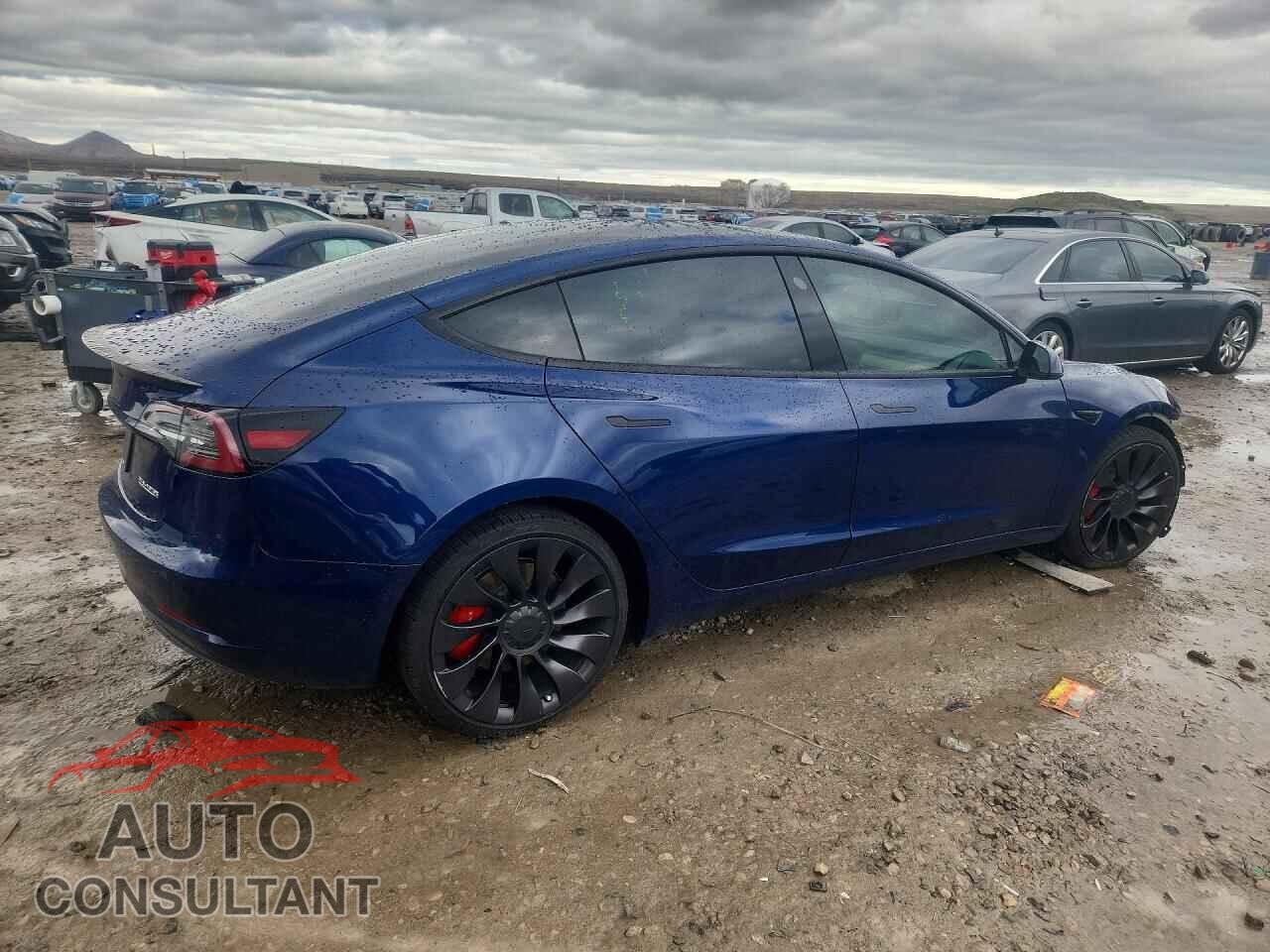 TESLA MODEL 3 2022 - 5YJ3E1EC6NF183081