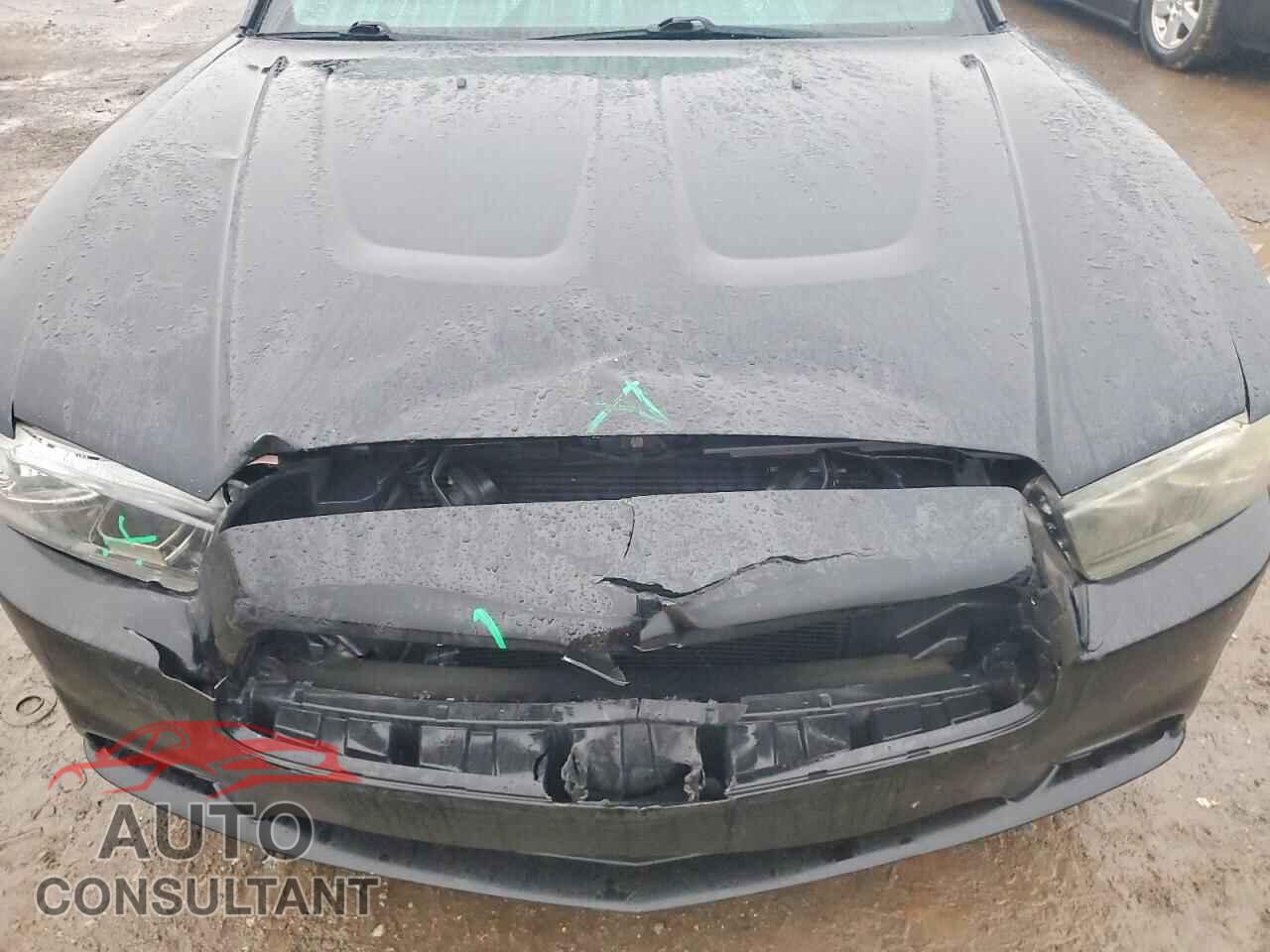 DODGE CHARGER 2014 - 2C3CDXBGXEH113675