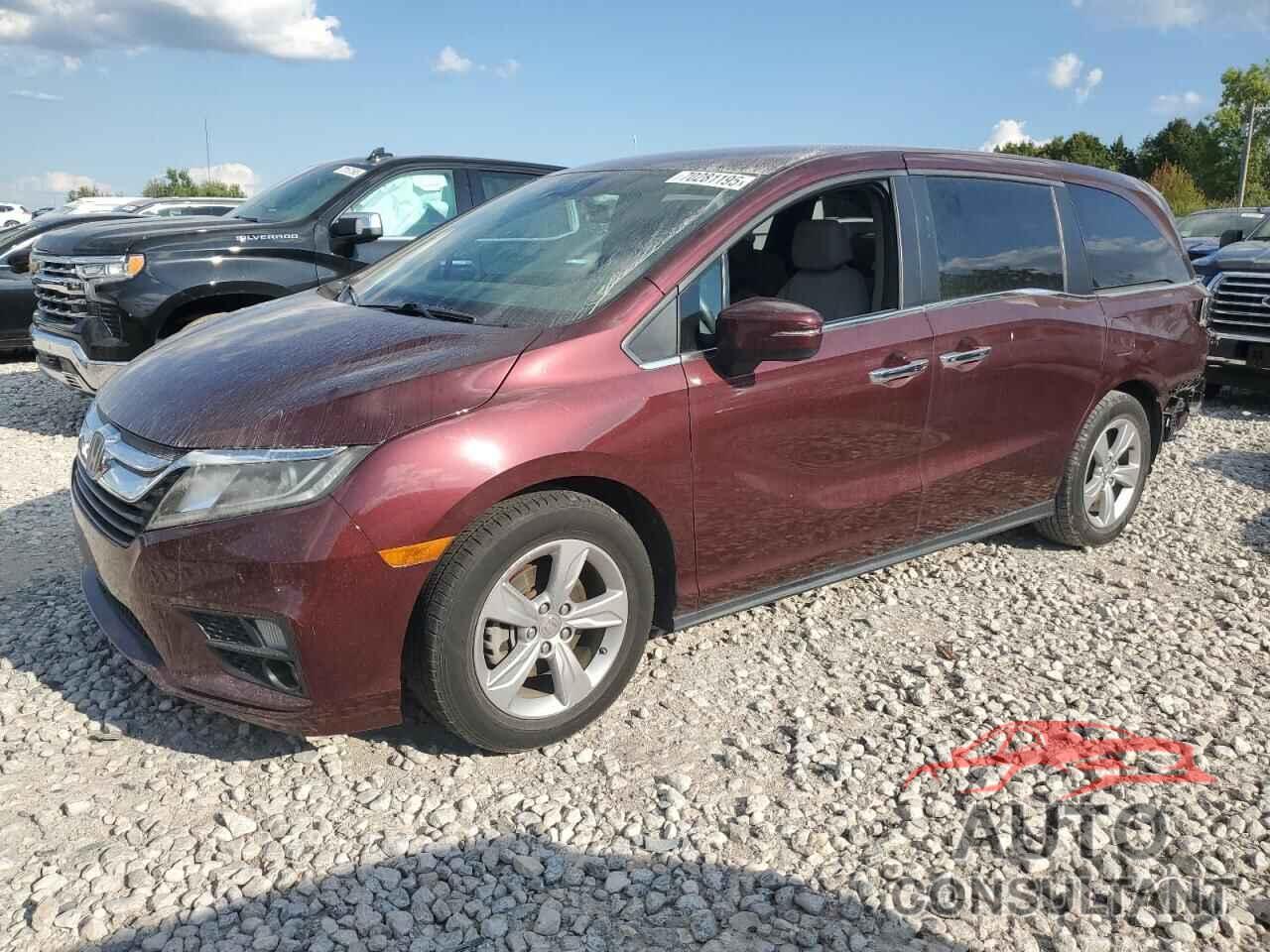 HONDA All Models 2019 - 5FNRL6H59KB033178
