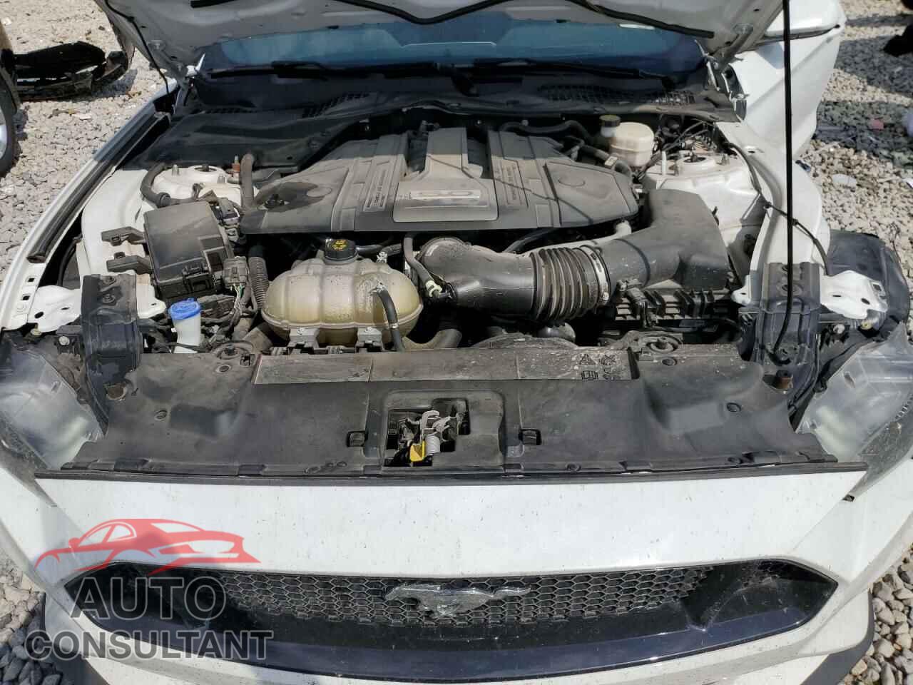 FORD MUSTANG 2020 - 1FA6P8CF5L5142636