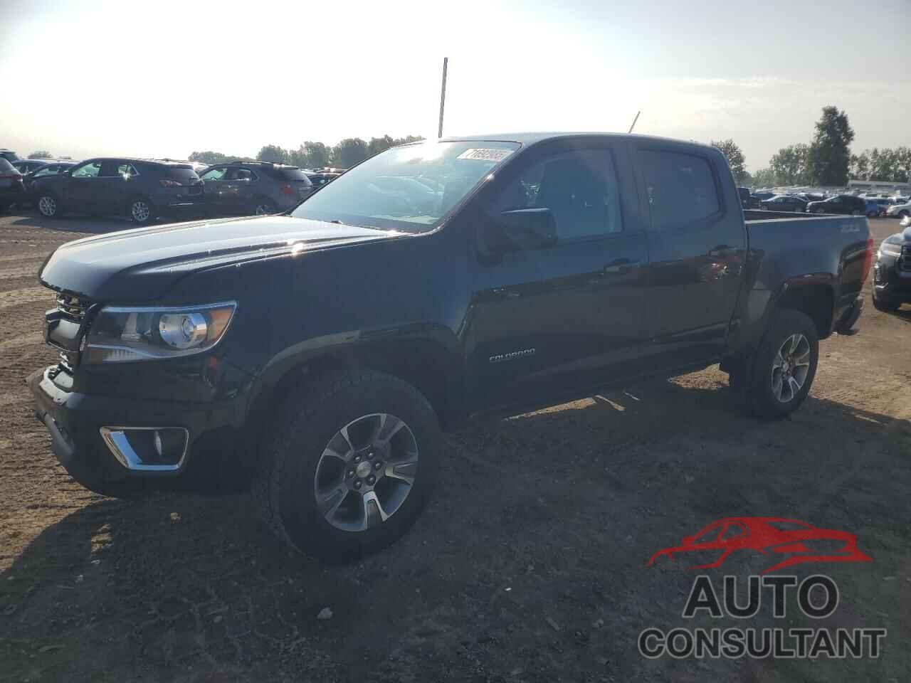 CHEVROLET COLORADO 2019 - 1GCGTDEN5K1329470