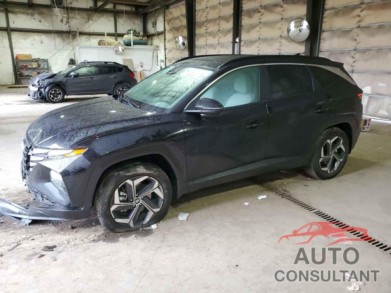 HYUNDAI TUCSON 2024 - KM8JCCD14RU142983