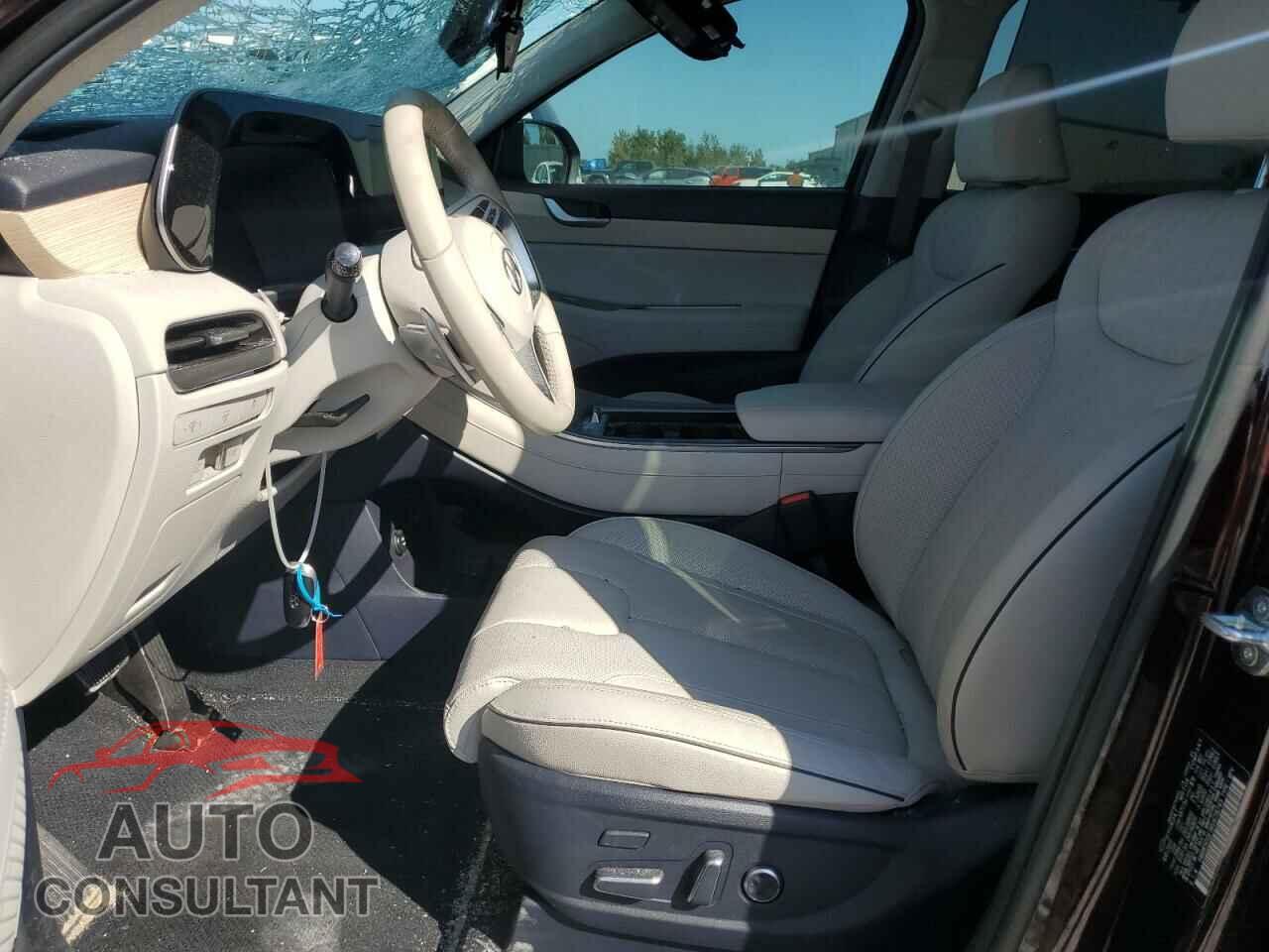 HYUNDAI PALISADE 2024 - KM8R5DGE3RU678745