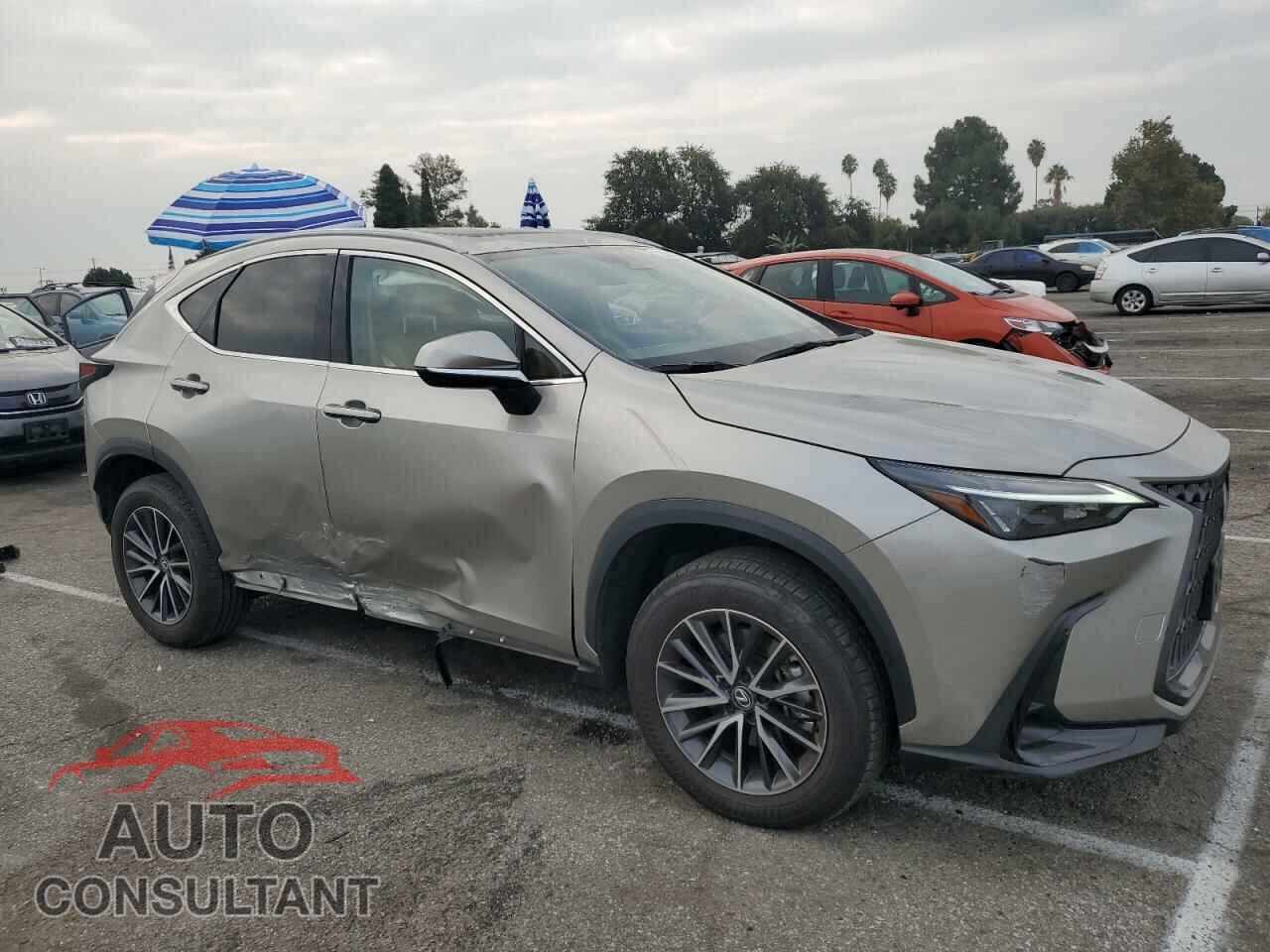LEXUS NX 350 BAS 2024 - 2T2AGCEZ4RC047183