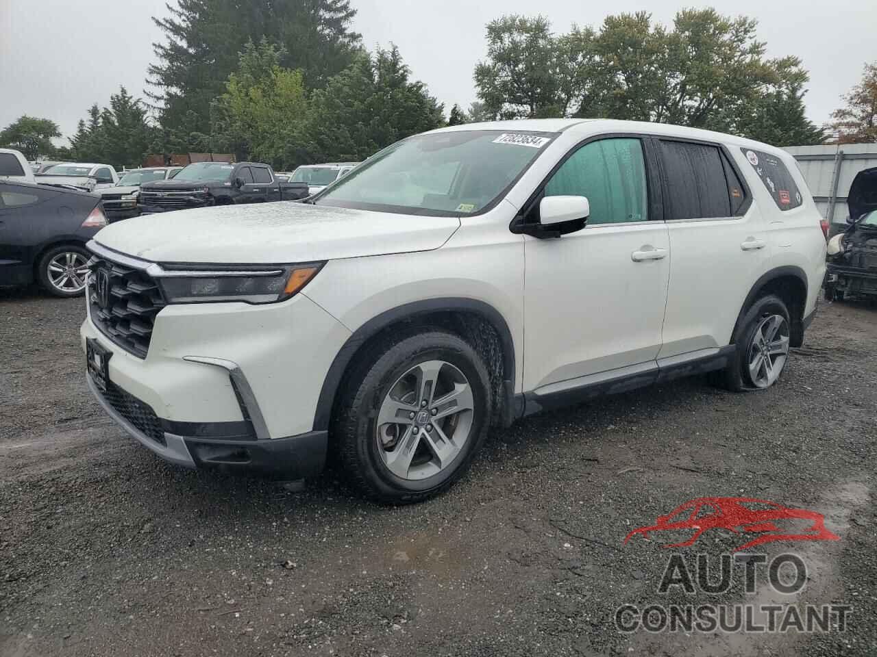 HONDA PILOT 2023 - 5FNYG1H42PB025361